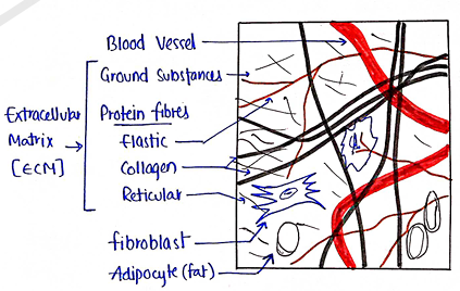 Screenshot 2026-02-09 214749.png