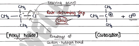 Screenshot 2026-03-13 130620