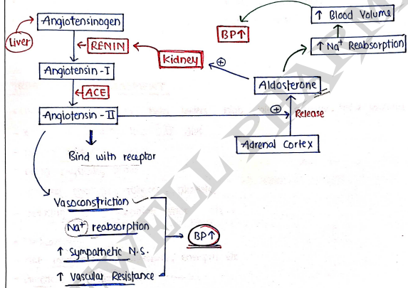 Screenshot 2026-03-11 162959
