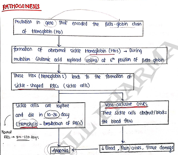 Screenshot 2026-03-12 123204