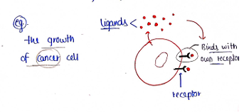 Screenshot 2026-02-07 171057