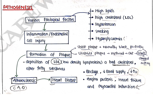 Screenshot 2026-03-11 163408