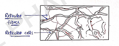 Screenshot 2026-02-09 214813.png