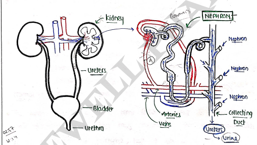 Screenshot 2026-03-11 164249