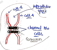 Screenshot 2026-02-07 170941