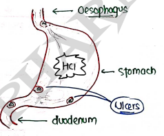 Screenshot 2026-03-12 124602