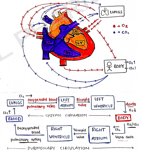 Screenshot 2026-02-11 212458