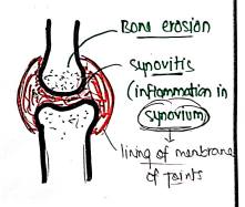 Screenshot 2026-03-12 144741