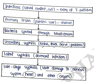 Screenshot 2026-03-12 175121