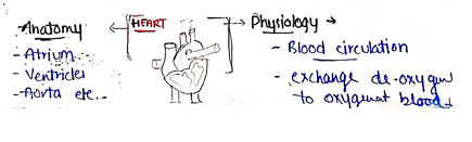 Screenshot 2026-02-07 161115