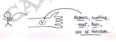 Screenshot 2026-03-10 153002