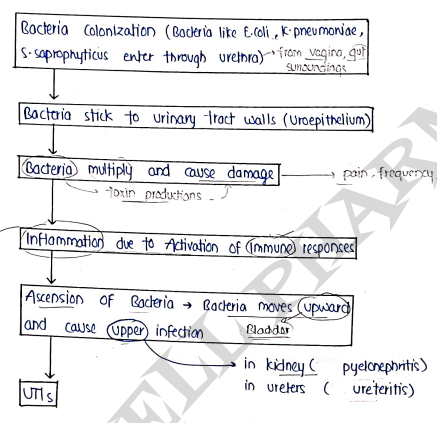 Screenshot 2026-03-12 174938