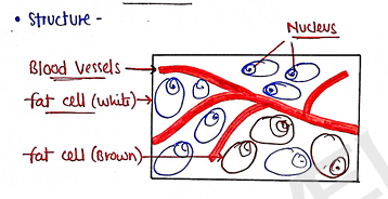 Screenshot 2026-02-09 214808.png