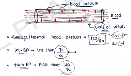 Screenshot 2026-02-11 212623