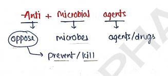 Screenshot 2026-02-18 111537