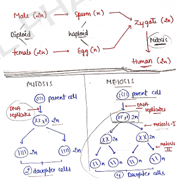 Screenshot 2026-02-07 170725