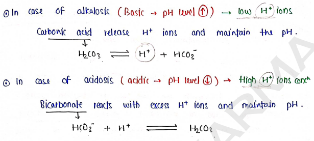 Screenshot 2026-02-17 191954