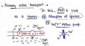 Screenshot 2026-02-07 170523