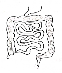 Screenshot 2026-02-18 111446