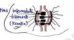 Screenshot 2026-02-07 170927