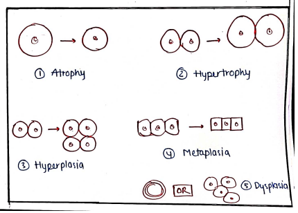 Screenshot 2026-03-10 152940