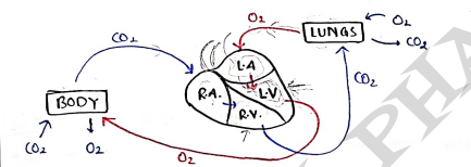 Screenshot 2026-03-11 163047