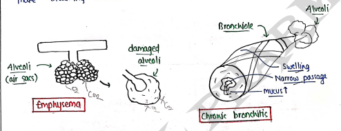 Screenshot 2026-03-11 164225