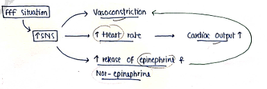 Screenshot 2026-03-11 170340