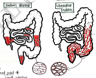 Screenshot 2026-03-12 144548