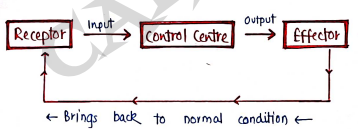 Screenshot 2026-03-10 152805