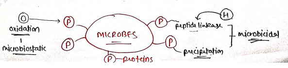 Screenshot 2026-02-18 111603