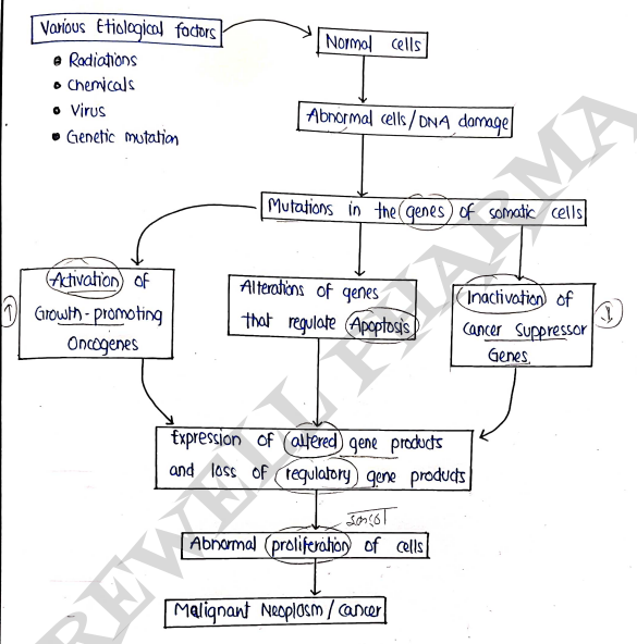 Screenshot 2026-03-12 144931