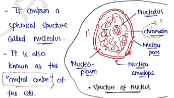 Screenshot 2026-02-07 170403