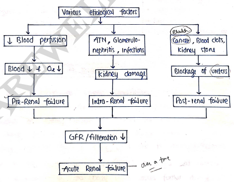 Screenshot 2026-03-11 164331