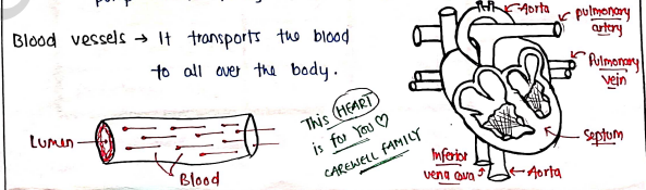 Screenshot 2026-03-11 162752