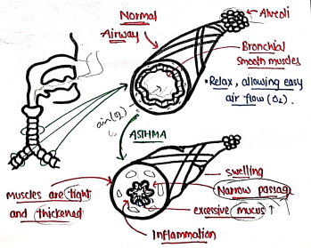 Screenshot 2026-03-11 163523