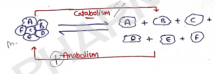 Screenshot 2026-02-07 161215