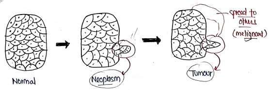 Screenshot 2026-03-12 144917