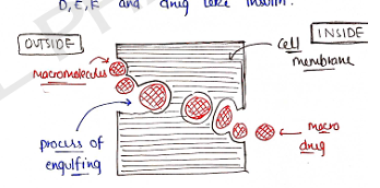 Screenshot 2026-02-07 170534