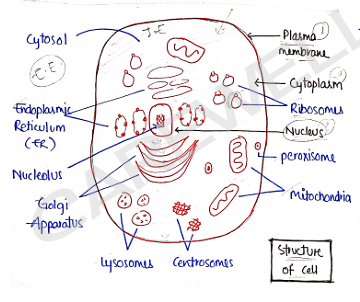 Screenshot 2026-02-07 170141