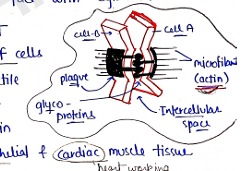 Screenshot 2026-02-07 170913