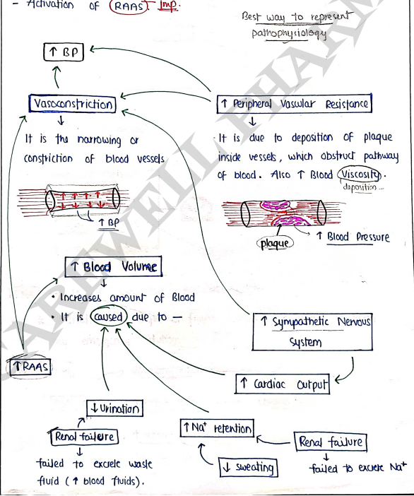Screenshot 2026-03-11 162946