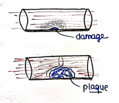 Screenshot 2026-03-11 163400