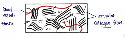 Screenshot 2026-02-09 214822.png