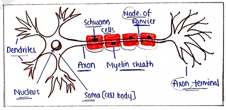 Screenshot 2026-02-09 214938.png