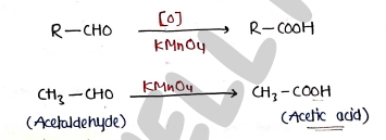 Screenshot 2026-03-16 215005