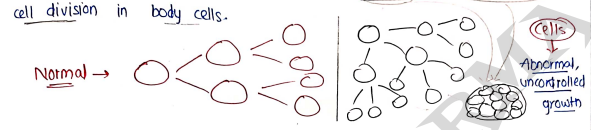 Screenshot 2026-03-12 144906