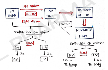 Screenshot 2026-02-11 212521