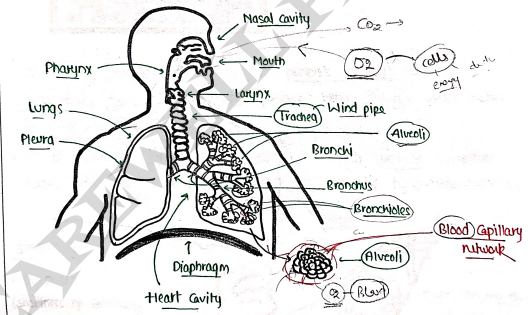 Screenshot 2026-03-11 163450