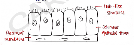 Screenshot 2026-02-09 214701.png